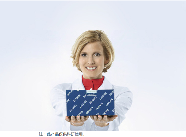 qiagen 凯杰优秀代理商 28000-50 Allpre