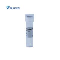 TSnanofect V1 transfection Reagent TSnanofect V1 转染试剂/细胞系列/擎科生物TSINGKE