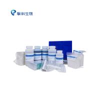 TS-Blot 染色试剂盒/蛋白系列/擎科生物TSINGKE