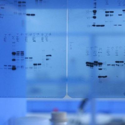 Brilliant Violet 421™ 抗人 CD360 (IL-21R) 抗体