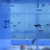 Brilliant Violet 421™ 抗人 CD360 (IL-21R) 抗体