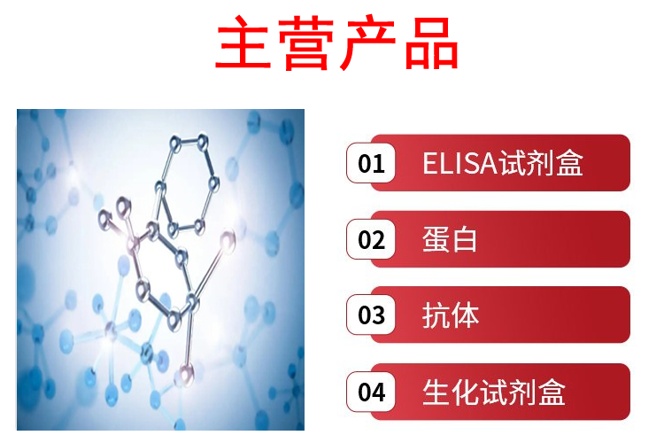 鸡睫状神经营养因子(CNTF)重组蛋白