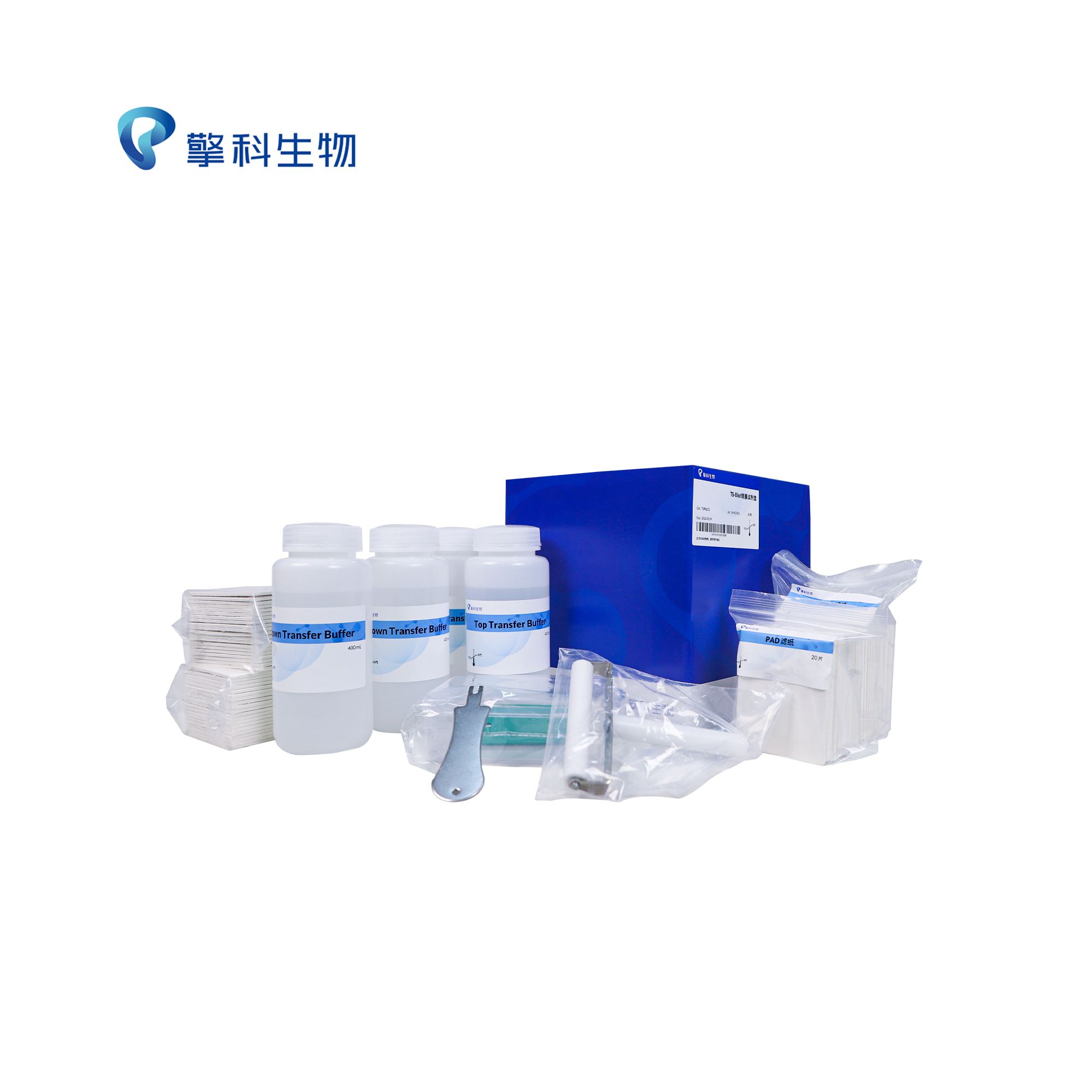 TS-Blot 转膜试剂盒/蛋白系列/擎科生物TSINGKE