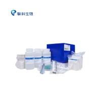 TS-Blot 转膜试剂盒/蛋白系列/擎科生物TSINGKE