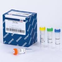 Qiagen 203203 HotStarTaq DNA Polymerase (250 U)