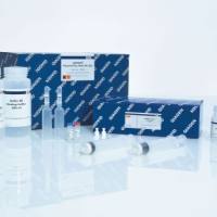 Qiagen  12963  Plasmid Plus Maxi Kit