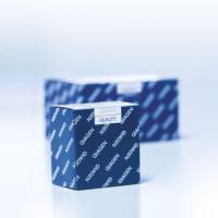 Qiagen	19076	Buffer ATL