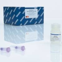 Qiagen 28606 MinElute Gel Extraction Kit 快速洗脱胶回收试剂盒