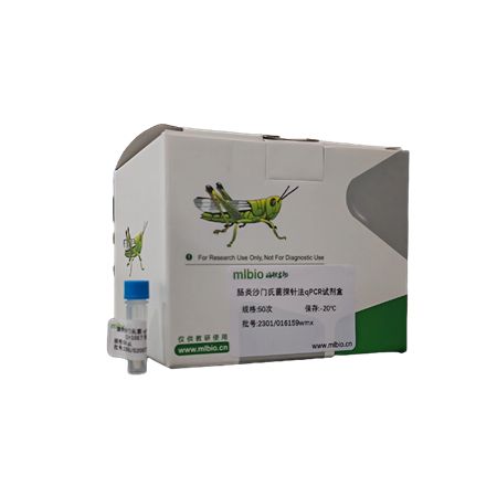 副流感病毒4b型染料法荧光定量RT-PCR试剂盒