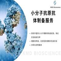 小分子抗原抗体制备服务