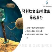 肽库筛选|预制肽库筛选|预制抗体库筛选