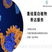 重组蛋白植物表达服务