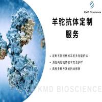 羊驼抗体定制服务