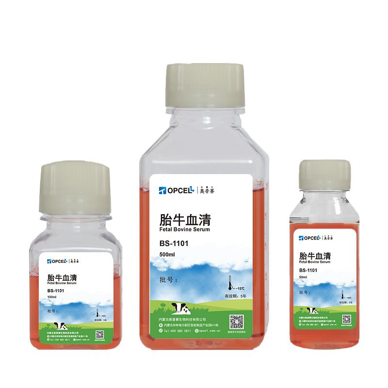 胎牛血清 BS-1101