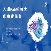 人源Fab抗体文库构建服务