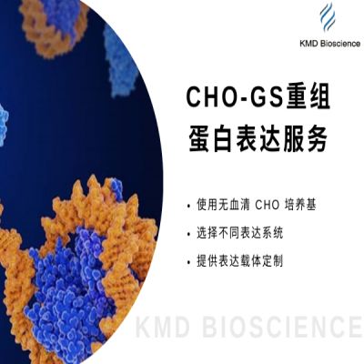 CHO-GS重组蛋白表达服务