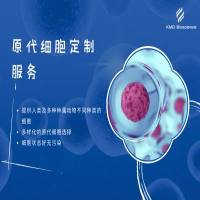 原代细胞定制服务