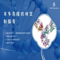 羊多克隆抗体定制服务