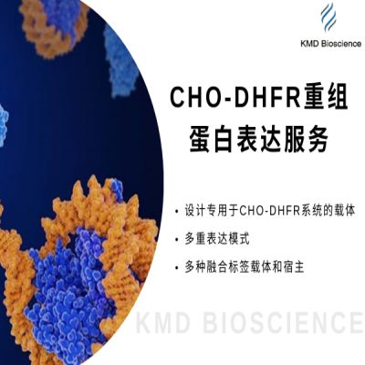 CHO-DHFR重组蛋白表达服务