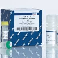 Qiagen	301425	Effectene Transfection Reagent (1 ml)
