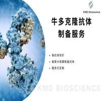 牛多克隆抗体制备服务