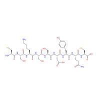 靶向肽CSK  CSKSSDYQC