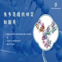 兔多克隆抗体定制服务