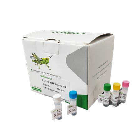 分枝杆菌属通用探针法荧光定量PCR试剂盒现货供应