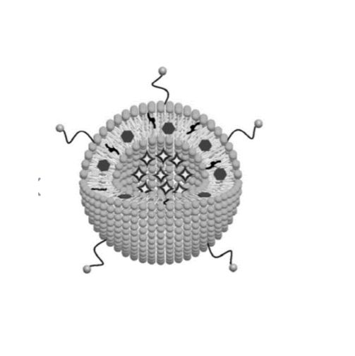 100nm空白脂质体 Blank Liposome 对照组脂质体