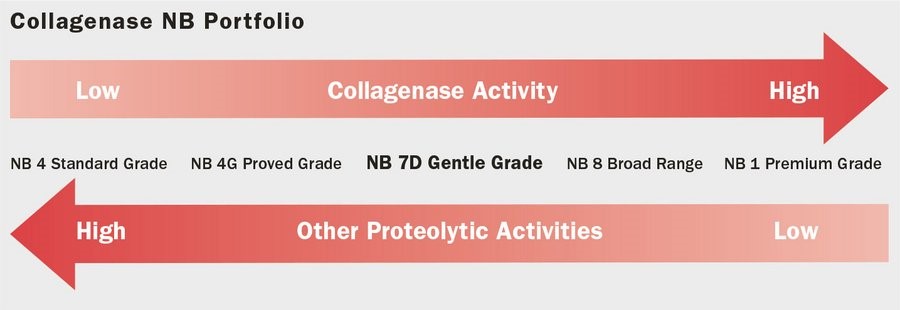 【Nordmark胶原酶】-NB7D、NB8适用于敏感细胞的温和解离胶原酶