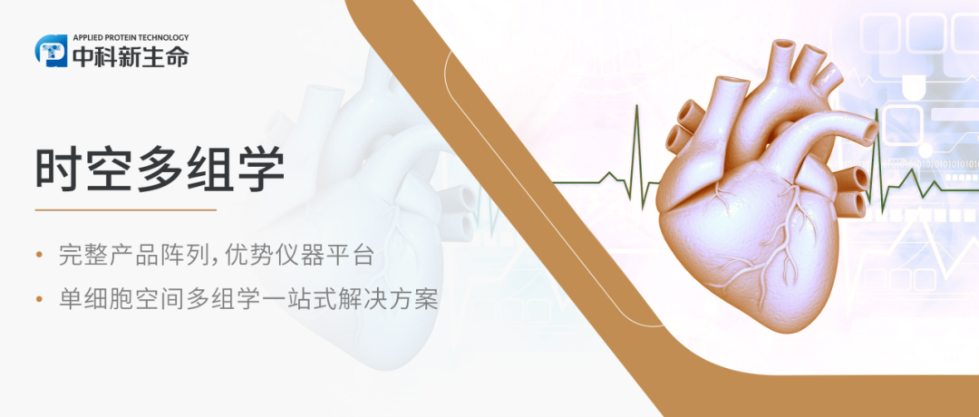 Nature | 剑桥大学研究团队绘制迄今为止最大的人类心脏空间多组学图谱