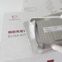 人叉头框蛋白02(FoxO2)ELISA试剂盒价格