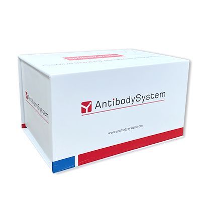 Anti-Palivizumab Neutralizing Antibody ELISA kit | Anti-Palivizumab Neutralizing Antibody ELISA试剂盒