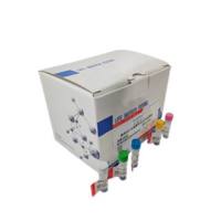 副流感病毒1型染料法荧光定量RT-PCR试剂盒全程技术支持