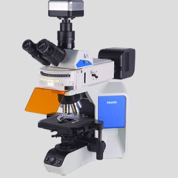 正置荧光显微镜MF43-N