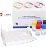 猪低氧诱导因子1α(HIF-1α)酶联免疫试剂盒 