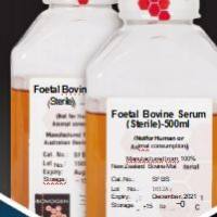 Bovogen 血清 SFBS/SNCS