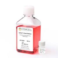 Stemcell Technologies	05630	EpiCult™-C Human Medium Kit/人乳腺上皮细胞培养基