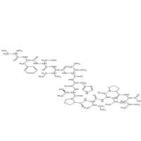 SP94修饰空白脂质纳米 粒径100-200nm