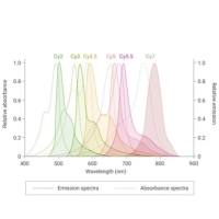 含有花青染料的DOTAP阳离子脂质的Liposome纳米颗粒
