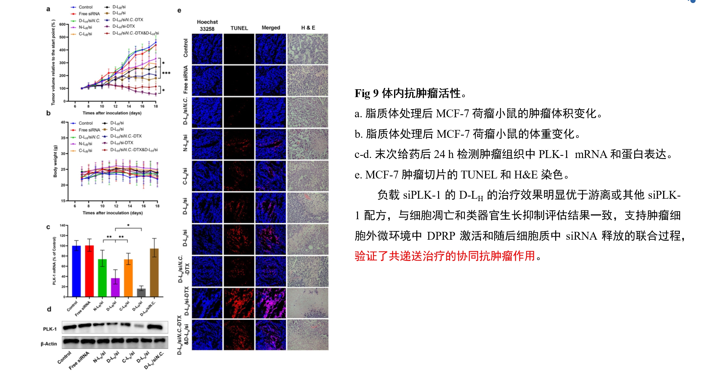 产品细节图片14