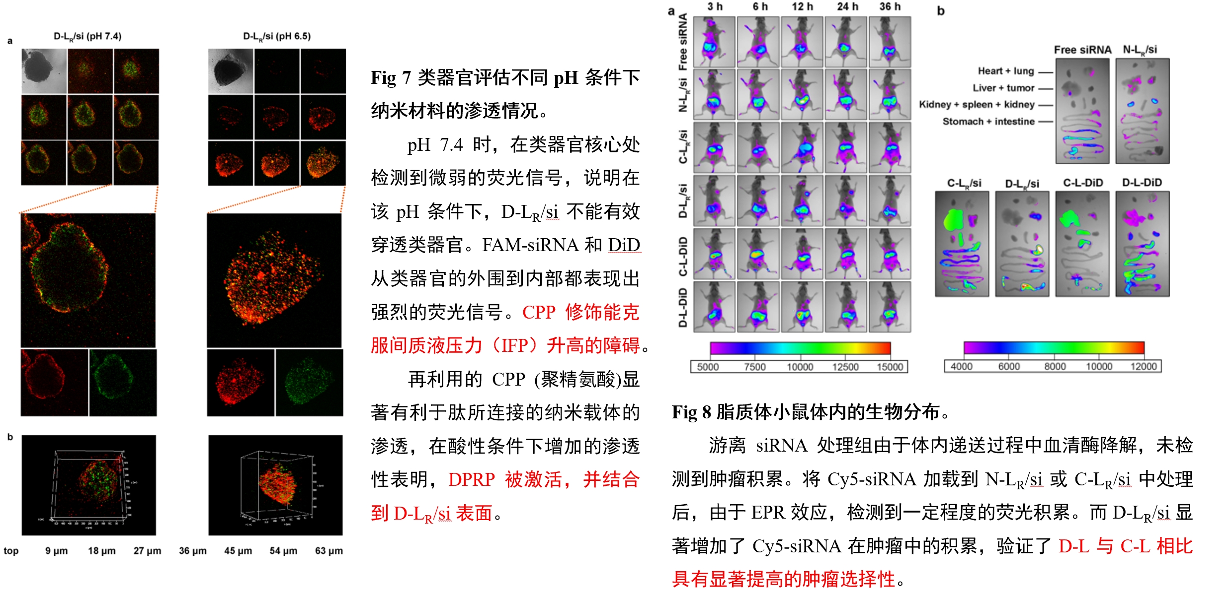 产品细节图片13