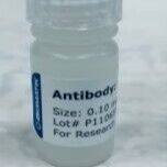 Osteopontin (OPN) Polyclonal Antibody