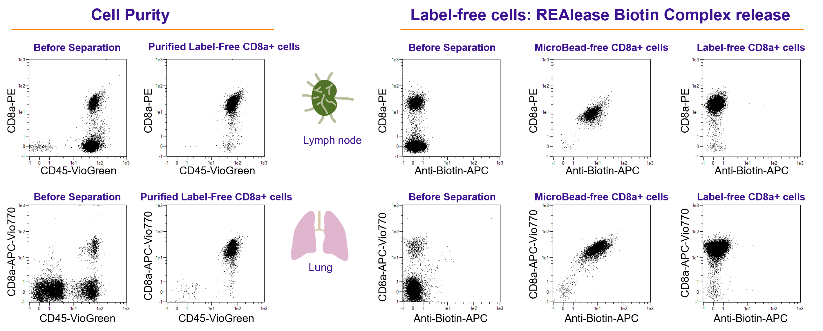 REAlease® CD90.1/CD90.2/CD8a M