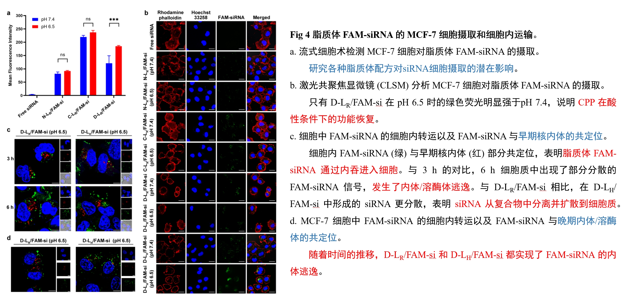 产品细节图片10