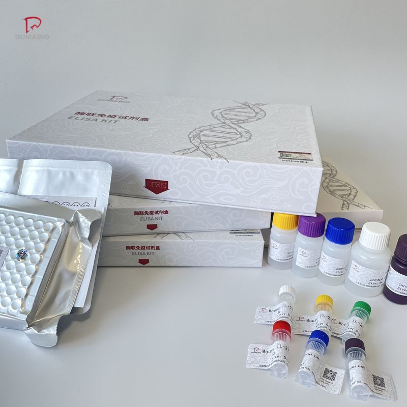 人补体1抑制物抗体(C1INH)ELISA试剂盒