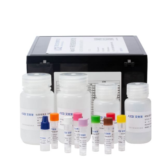 AlphaTSA® 6色免疫组化染色试剂盒 手动 100 片（适用于全切片扫描）