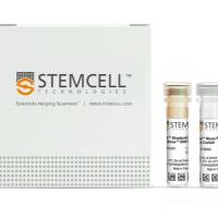 STEMCELL Technologies 19844 EasySep™ Mouse Pan-B Cell Isolation Kit/EasySep™小鼠Pan-B细胞免疫磁珠分选试剂盒