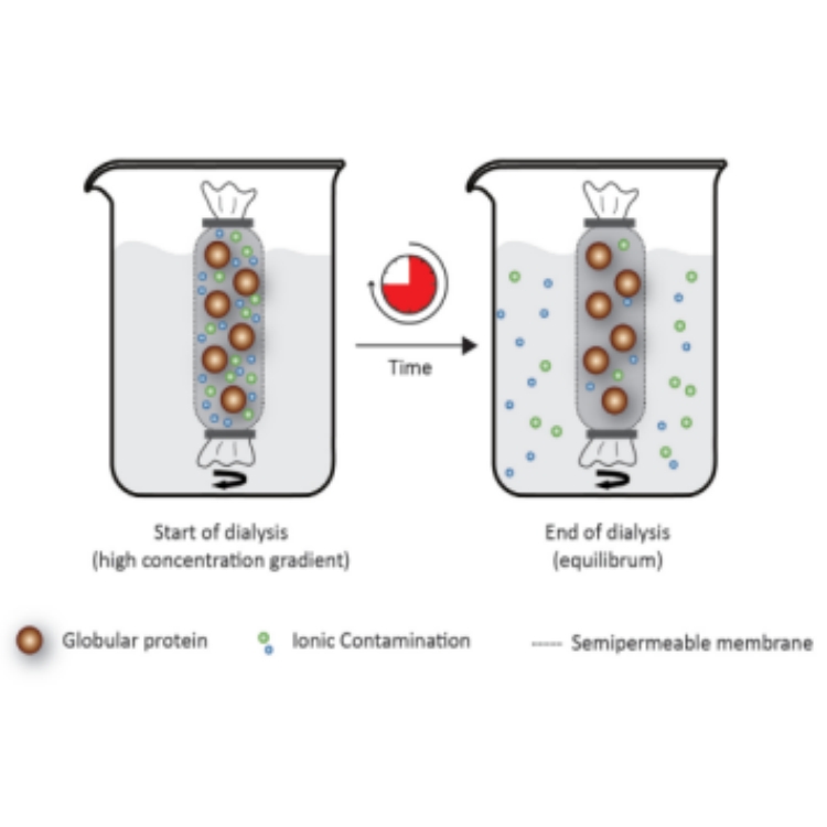 Scienova透析管是透析方法中效率显著的产品