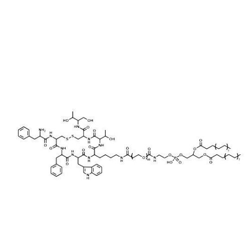 Octreotide奥曲肽靶向载药脂质体 OTC-Liposome 
